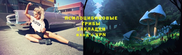 шишки Кукмор