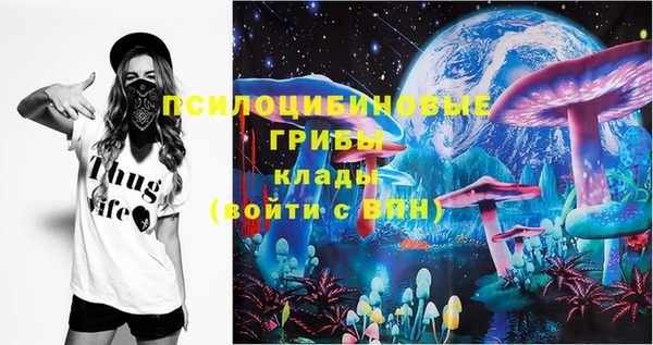 шишки Кукмор