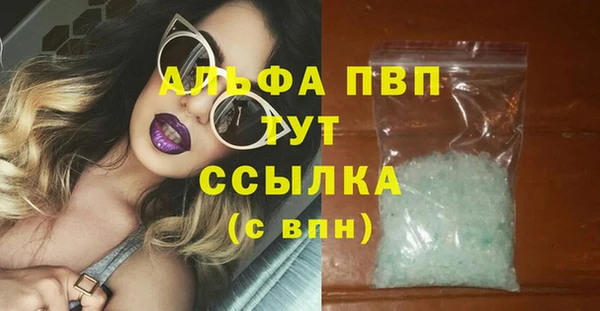 СК Куйбышев