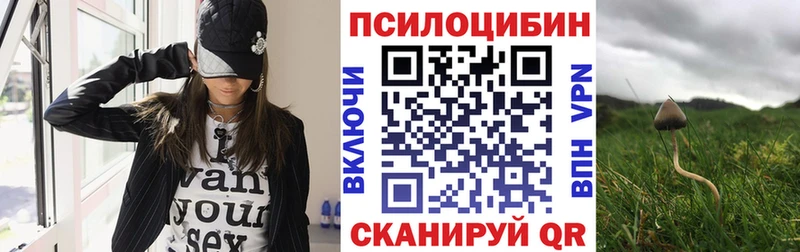 KRAKEN зеркало  Тында  Псилоцибиновые грибы прущие грибы 