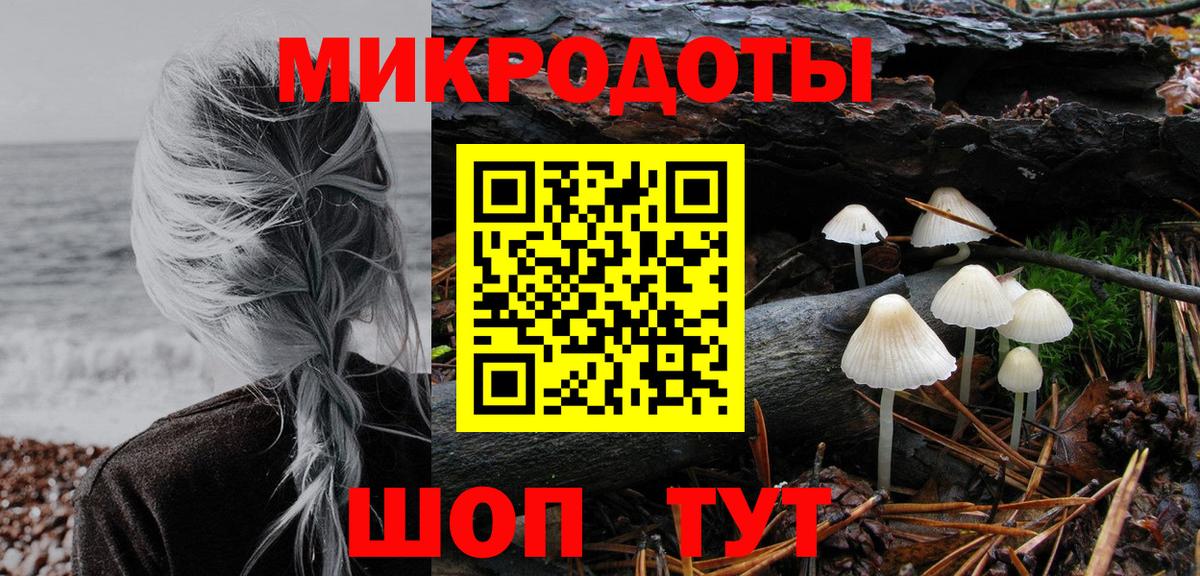 Тында  Галлюциногенные грибы Cubensis  Галлюциногенные грибы мицелий  Вход с VPN 
