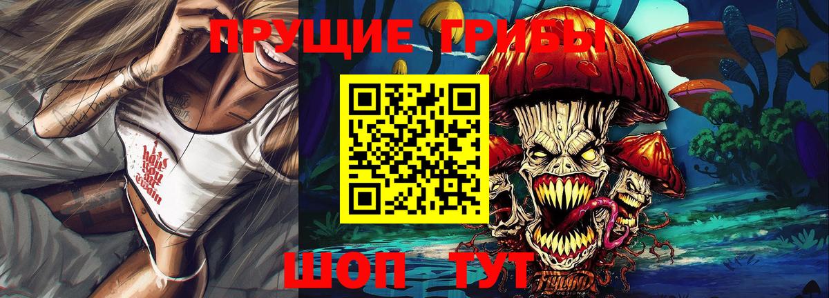 Псилоцибиновые грибы GOLDEN TEACHER Тында